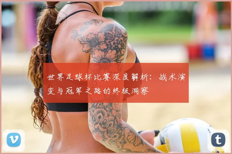 世界足球杯比赛深度解析：战术演变与冠军之路的终极洞察