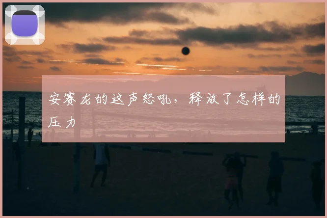 安赛龙的这声怒吼，释放了怎样的压力